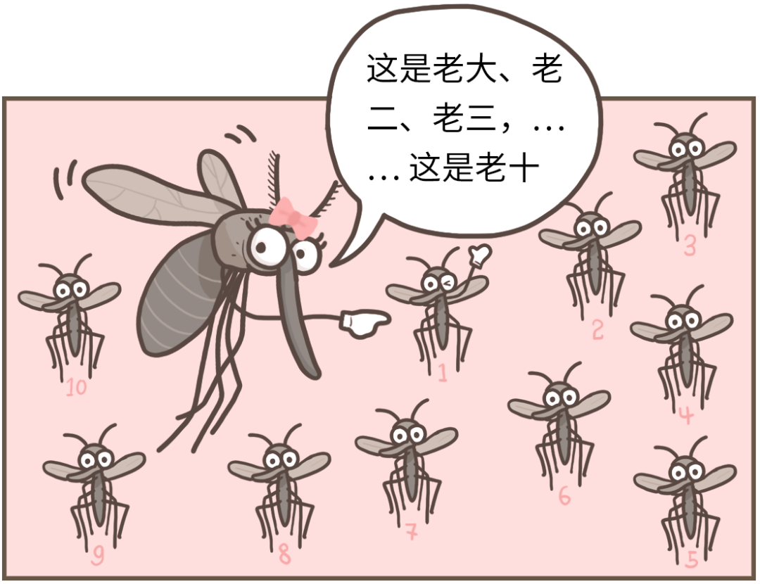 中国蚊子最多的省，竟然不在南方 - 知乎