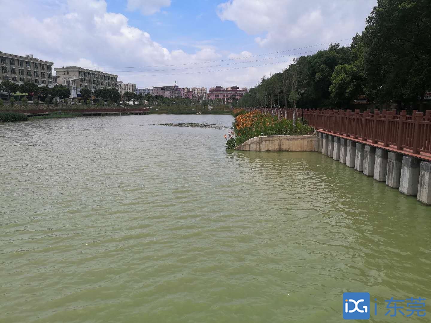 决胜国考断面水质 全面稳定达标⑨|水清岸美,小海河重现往昔风光