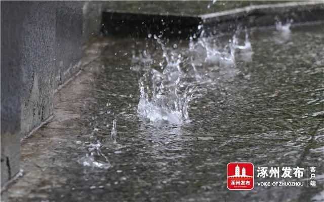 闻“汛”而动!全面提升这项风险防控处置能力,筑牢涿州市民的铜墙铁壁...