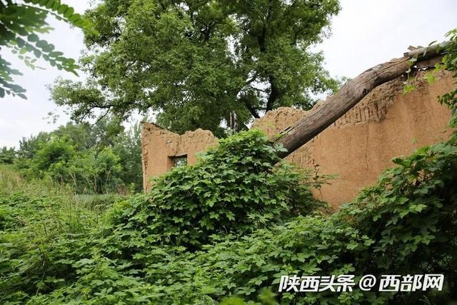 西安少陵原上废弃的古宅 没倒的垂花门精美无比