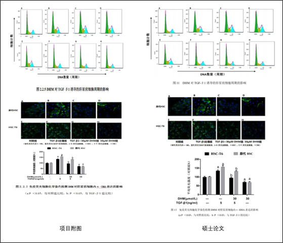 小学生研究基因和癌症拿三等奖,荣获一等奖的项目长这样