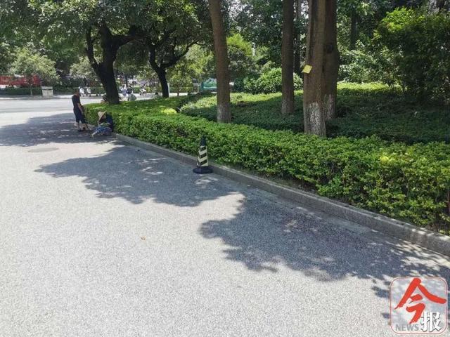 当街持刀捅人!广西柳州一女子被捅伤,嫌疑人当场被擒