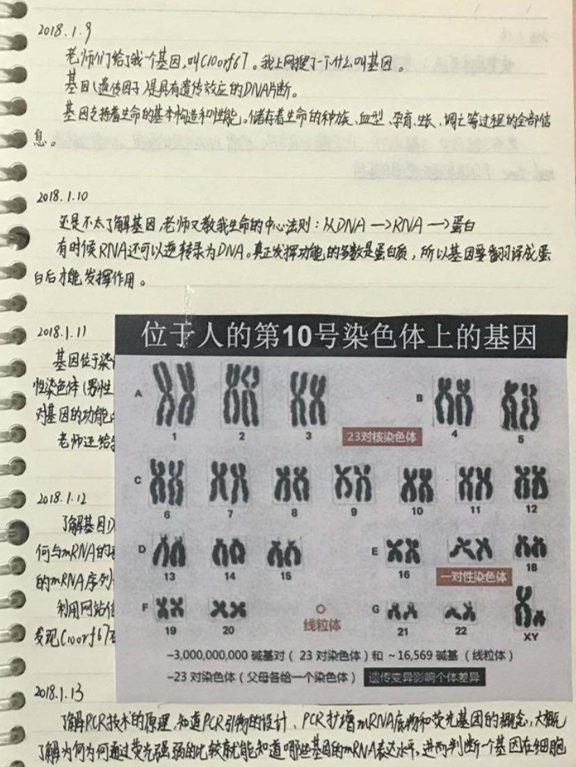 研究|昆明小学生研究基因获奖：父母主攻相同领域 单位正调查