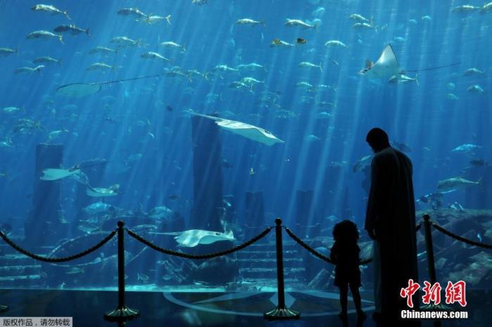 特朗普团队将福奇归入“敌营”？驻日美军成防