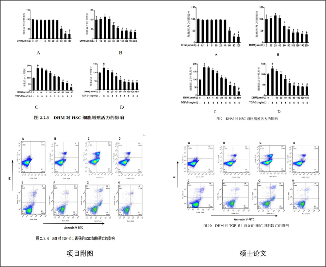 小学生研究基因和癌症拿三等奖,荣获一等奖的项目长这样