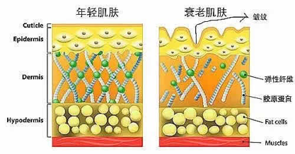 烈日已经到眼前,你却还没挑好防晒霜?
