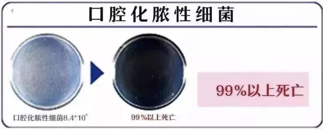 天天刷牙还口臭牙黄?8成嘴里有它,教你一招告别口臭,连多年黄牙都溶解了!
