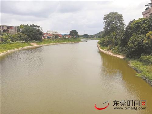 桥头多举措推进小海河整治,助力樟村国考断面达标