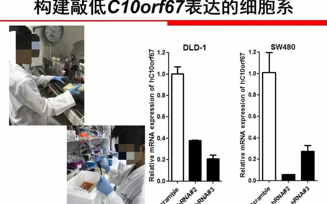 裁缝GDP(3)