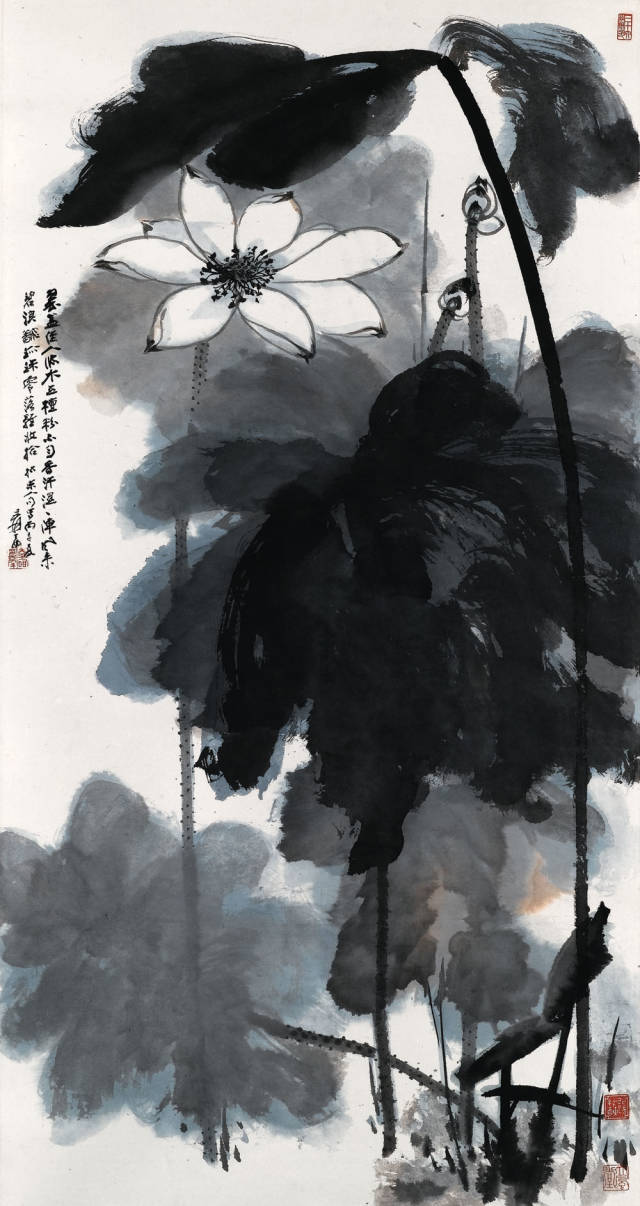 张大千:一辈子画不厌的荷花