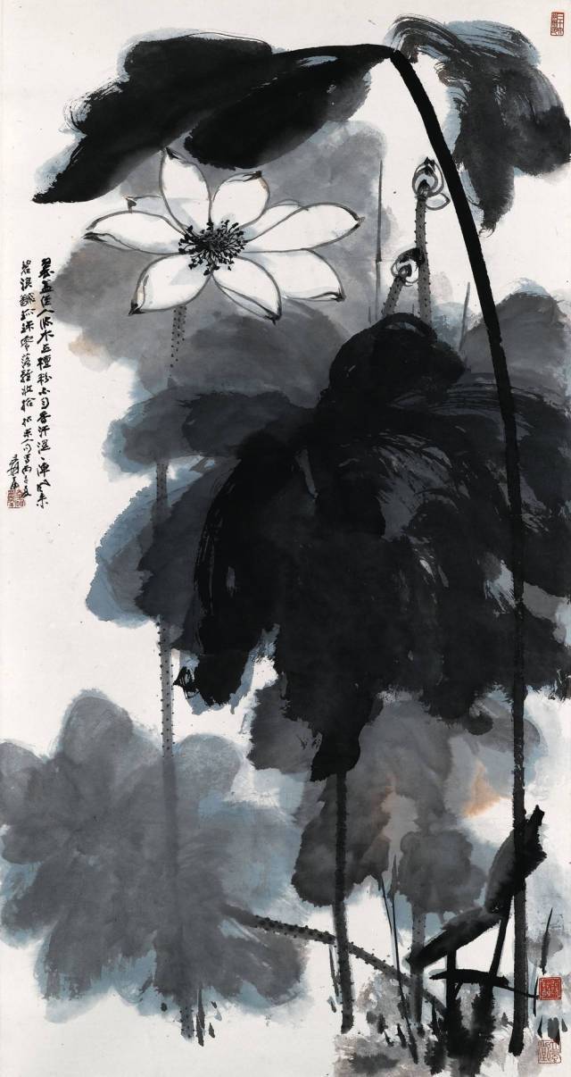 张大千:一辈子画不厌的荷花