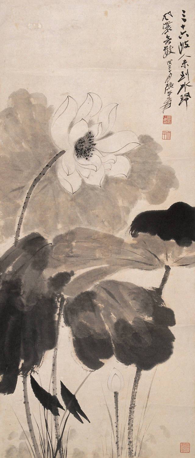 张大千:一辈子画不厌的荷花