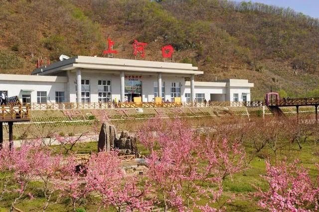 △桃花盛开时节的上河口车站