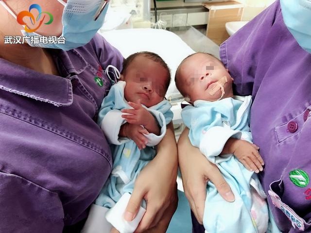 早产龙凤胎姐姐患先心病,医生温箱旁“补心”施救