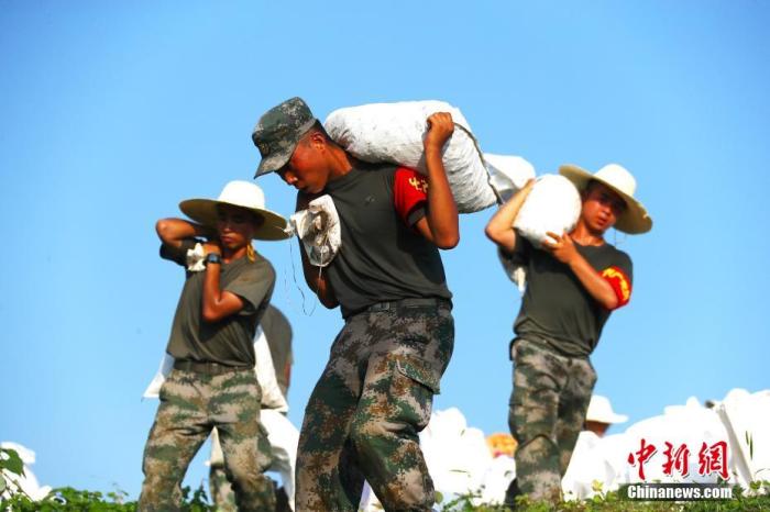 7月14日下午,江西省鄱阳县沿河圩,驰援江西抗洪抢险的陆军第72集团军某旅的官兵们顶着炎炎烈日在圩堤内侧搬运砂石,加固堤坝。 中新社记者 刘占昆 摄