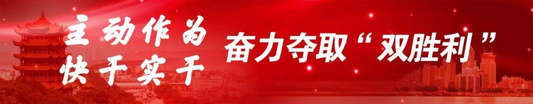 早产龙凤胎姐姐患先心病,医生温箱旁“补心”施救