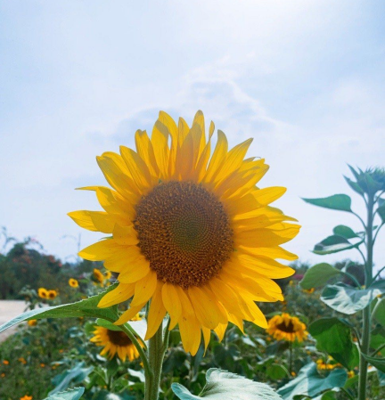 贵州公交坠湖最新通报,真相大白