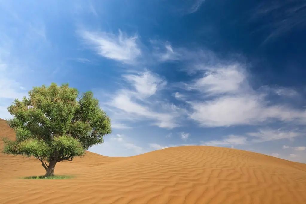 知晓 | 25~33℃,今日入伏!205套共有产权房面向西城区申购!本月起上调最低生活保障标准!
