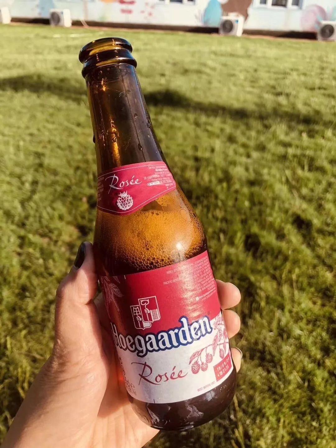 山水课堂!密云一处亲子农场,让思维可见