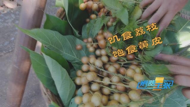 热带水果炒着吃、蘸辣椒吃,口感颠覆你的想象