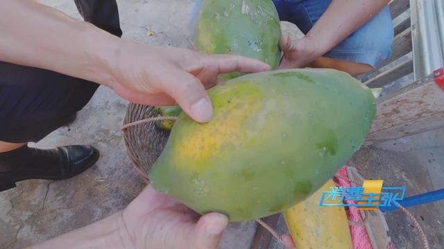 热带水果炒着吃、蘸辣椒吃,口感颠覆你的想象