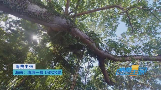 热带水果炒着吃、蘸辣椒吃,口感颠覆你的想象