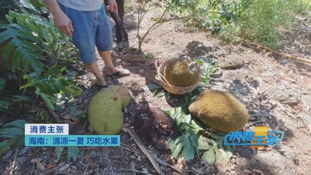 热带水果炒着吃、蘸辣椒吃,口感颠覆你的想象