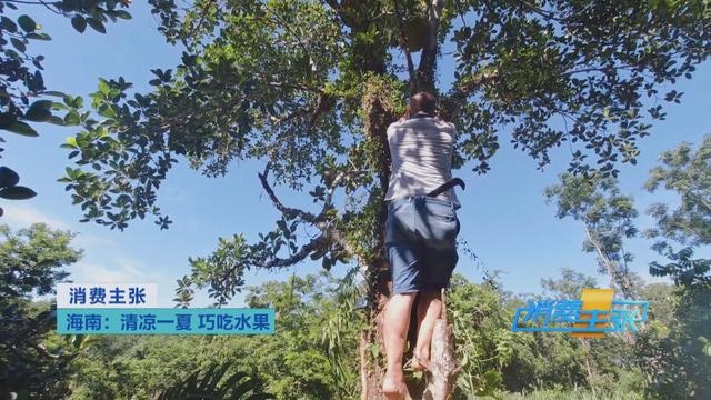 热带水果炒着吃、蘸辣椒吃,口感颠覆你的想象