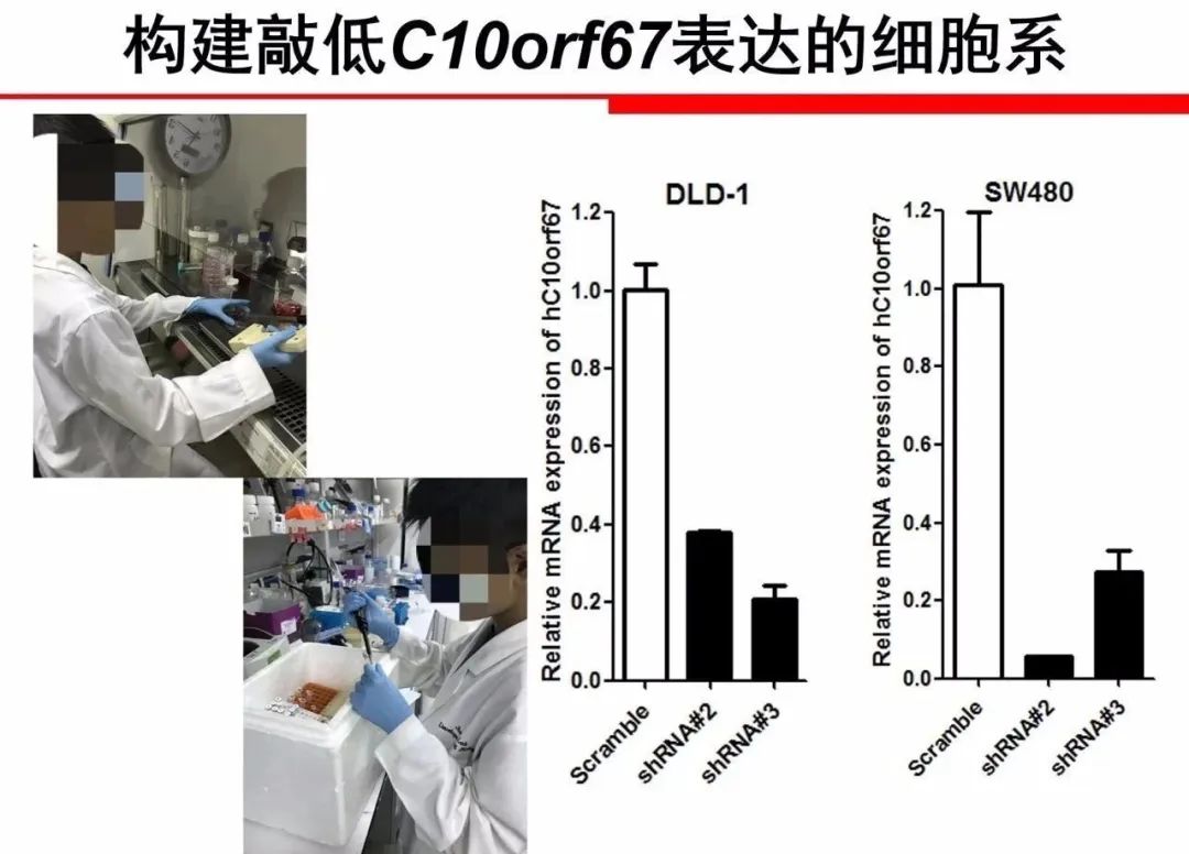 “神童”的奖牌统统没收!“小学生研究基因获大奖”遭质疑,家长为何热衷让孩子参赛?