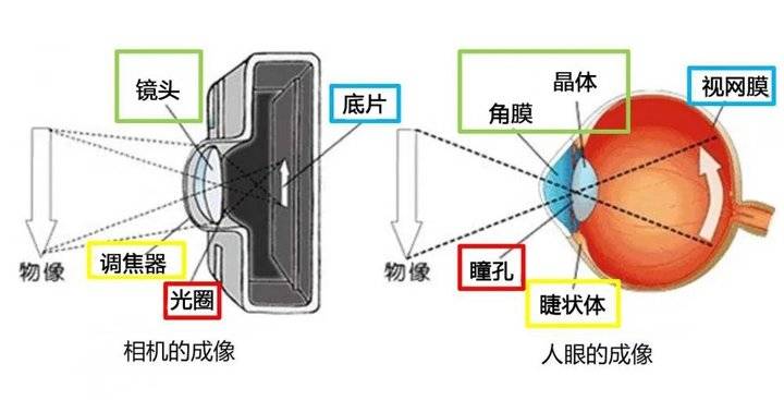 山东省知名眼科专家马先祯:白内障手术早已不是单纯的复明手术