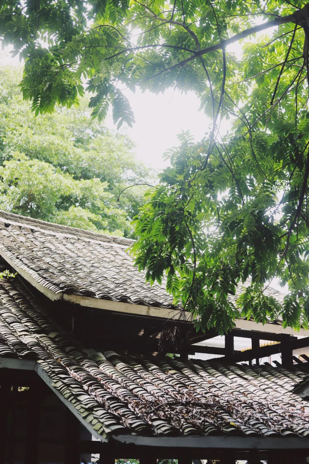 南宁市区隐藏了一片壮族山水民居,地铁直达却鲜为人知,神仙来了都不想走!
