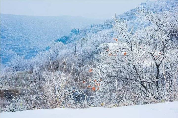 齐鲁美景|峰奇石怪,山东鲁山森林风景区本周六开业