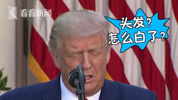 忘染了？特朗普白发引热议 仍自夸“发型完美”