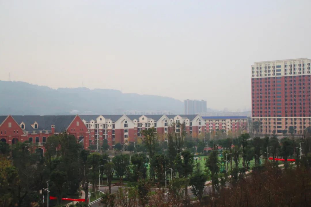 2020年招办主任来帮忙丨重庆工商大学融智学院招生就业科科长裴莹访谈