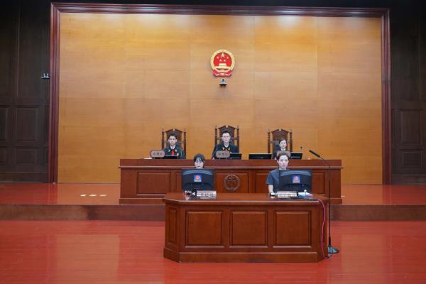 黑龙江哈尔滨南岗区法院当庭宣判王某国等人恶势力犯罪案件