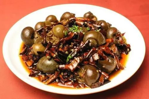 曾经的“异域美食”，如今正在上海的河道水田快速蔓延，威胁生态和公共安全，它不是小龙虾！