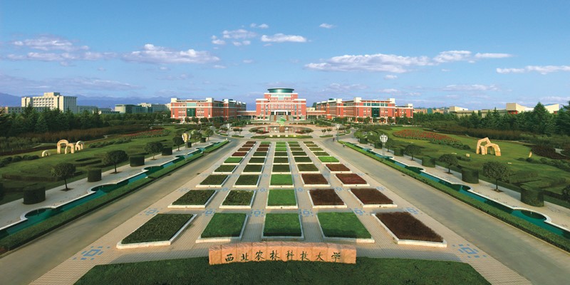 西北农林科技大学:2020年新增4个本科招生专业 扩大卓越班招生