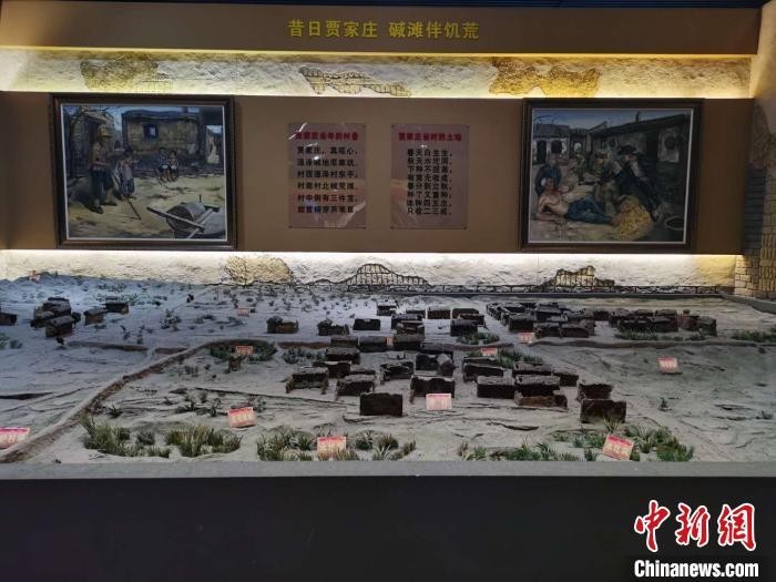 通过几十年、几代人的艰苦努力,贾家庄村逐渐从一个白茫茫的盐碱滩,变成了今天高标准的文化生态旅游村。 吴琼 摄