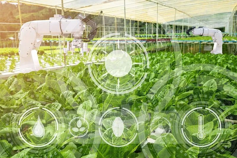 农业科技社会化服务体系建设如何加强？七部门发文部署