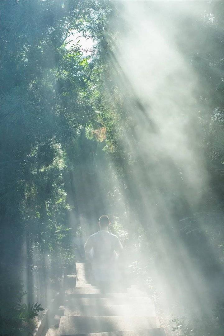 假如你问我为何去龙口南山,我会说…