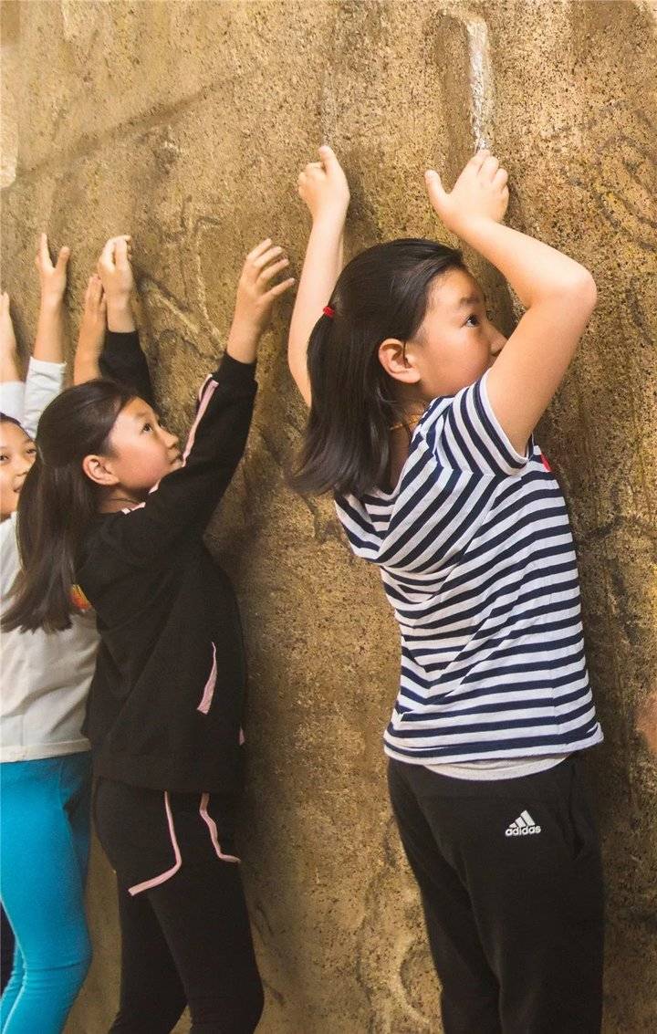 假如你问我为何去龙口南山,我会说…