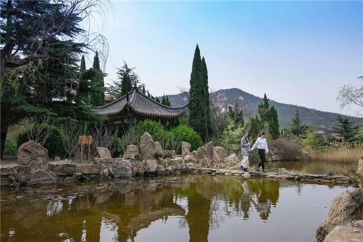 假如你问我为何去龙口南山,我会说…