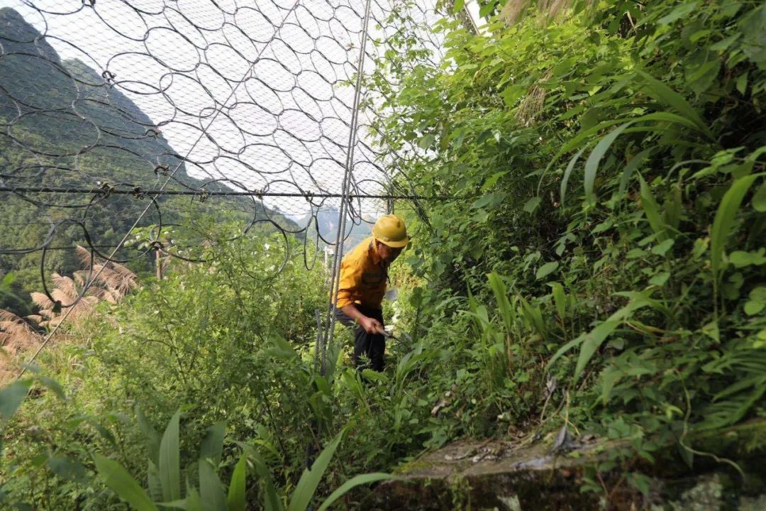 徒步走|大雨来袭！两位老兵徒步走进深山里