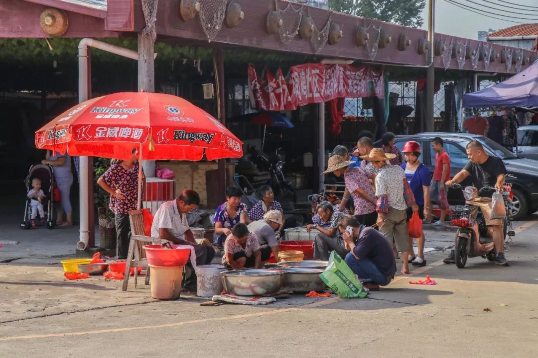 佛山开渔啦！一大波生猛河鲜正在袭来！准备好你的胃没？