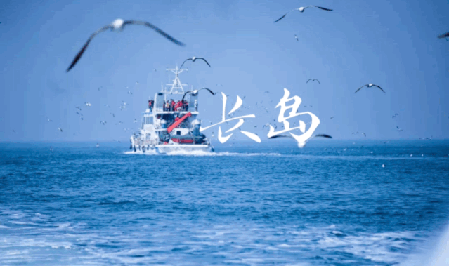 (上图中的照片来自网络)