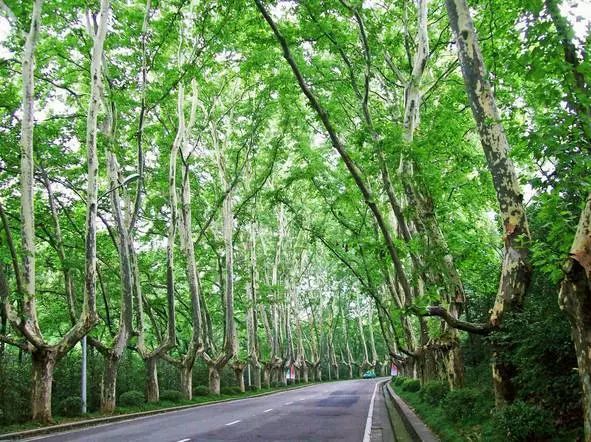 2020下半年南京人旅行时间表,一个月两个地方,收好备查!