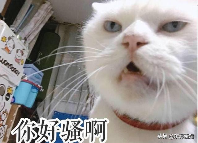 太太太辣眼睛!有时候年龄真的是个问题