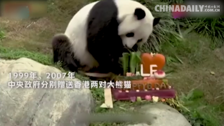 我们23年风雨同舟 我们永远在一起