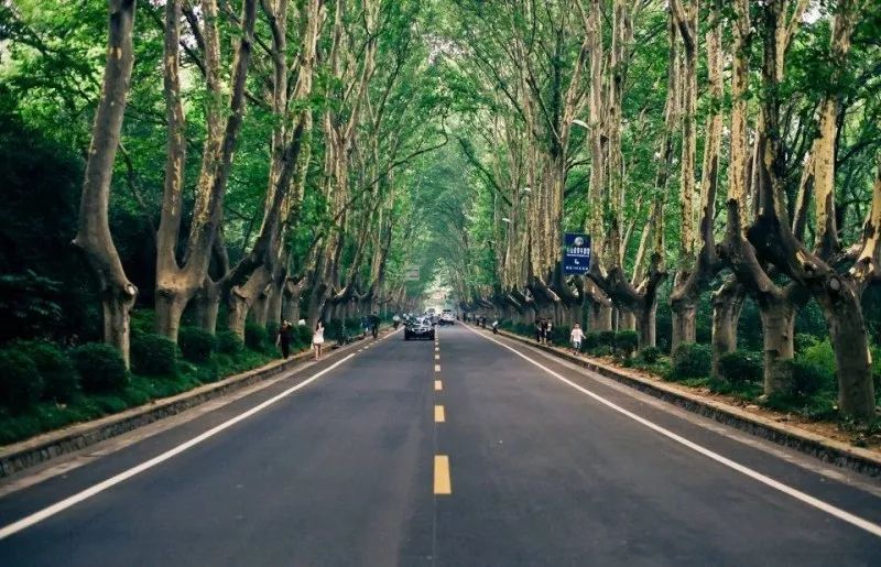 2020下半年南京人旅行时间表,一个月两个地方,收好备查!
