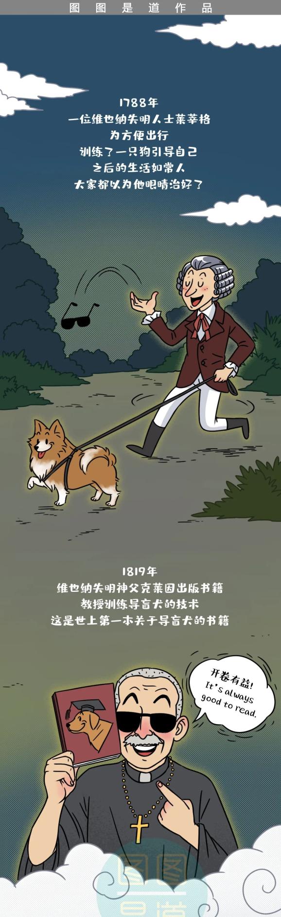 导盲犬的选拔有多难？全中国仅有200多只